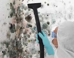 Forensic Mold Investigation in Woodland Park, CO